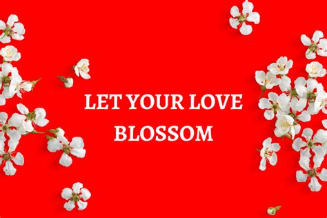 22 Reasons to Join Blossoms Dating